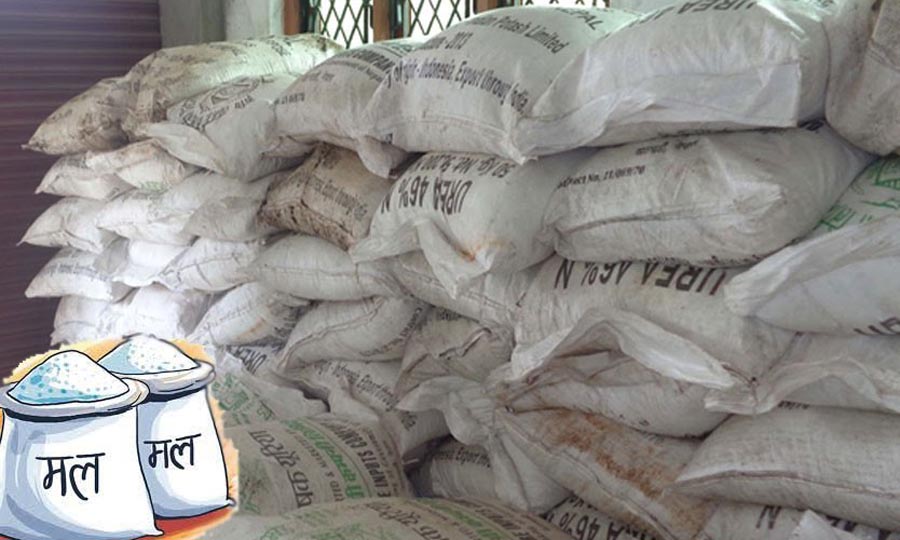 मल अभावमा धानको बीउ राख्न नपाउँदा किसान चिन्तित