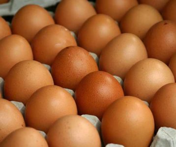 अण्डाको उत्पादन घटेसँगै मूल्य बढ्यो