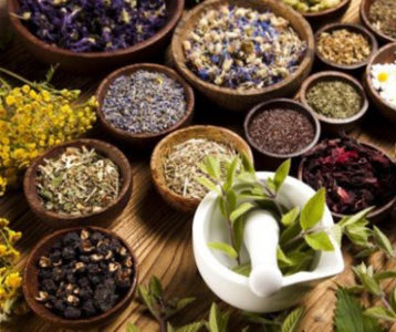 नेपाली जडिबुटी आठ महिनादेखि गोदाममैे