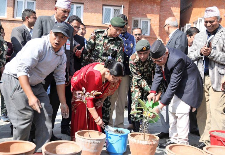आँप रोपेर मनाए ओलीले आफ्नो जन्मदिन