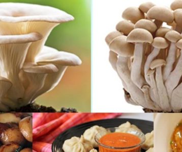 जङ्गली च्याउ खाँदा एकै गाउँका १२ बिरामी
