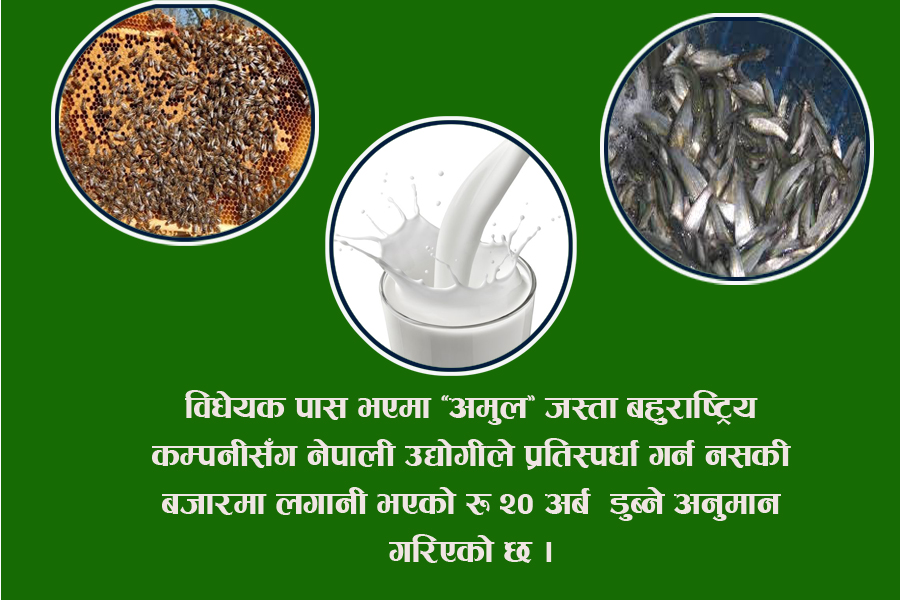 व्यवसायीद्वारा विधेयकको विरोध, २० लाख नेपाली बेरोजगार हुने चिन्ता