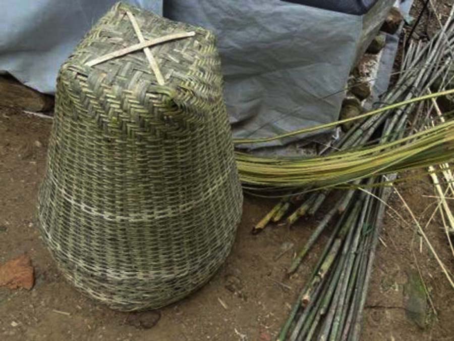 पुख्र्यौली पेशा लोप हुनुका मुख्या कारणहरु…