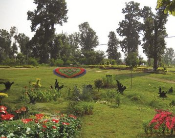 प्रदेश ३ मा ११९ नयाँ  शान्ति उद्यान निर्माण हुने
