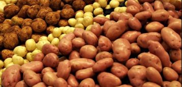 आलु र भाङको बजारीकरण गर्दै पालिका