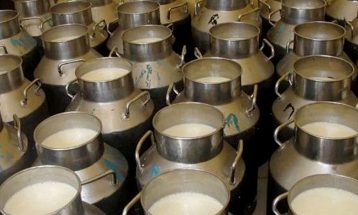 सहकारीद्वारा बिरौटामा दूध सङ्कलन केन्द्र स्थापना