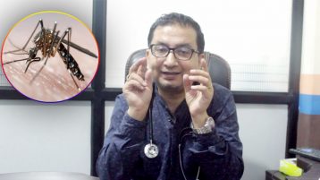 डाक्टर विनय रेग्मी भन्छन्–यसरी चिन्नुहोस् डेंगुको लामखुट्टे