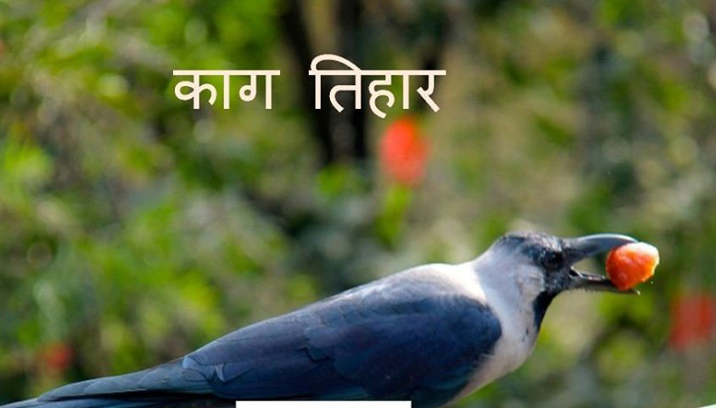 आज काग तिहार, कागलाई के खुवाउने?