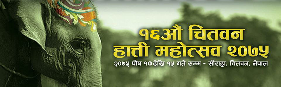 सौराहमा १६ औँ हात्ति महोत्वस गरिँदै
