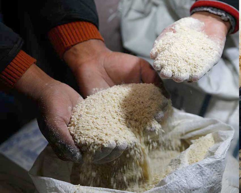 खाद्यको पटक पटकको लापरबाही, फेरि ४८५ क्विन्टल चामल पनि कुहायो