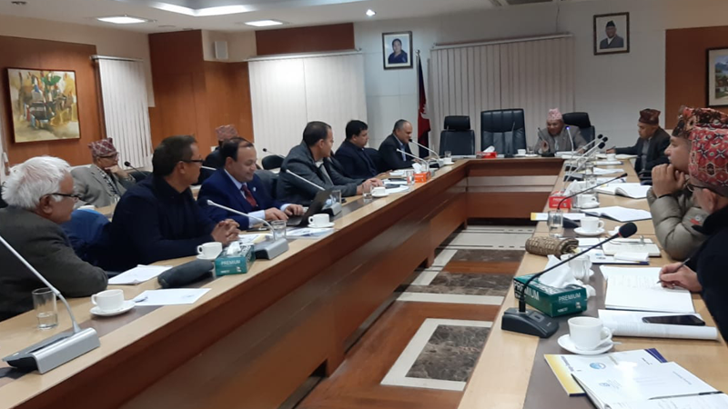 दोश्रो विज्ञ सम्मेलनको तयारीका लागि एनआरएनएले भेट्यो परराष्ट्रमन्त्री