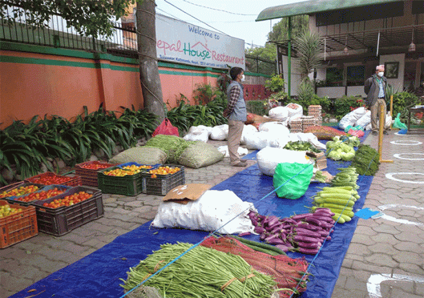 नगरपालिकाद्वारा हाटबजार सञ्चालन