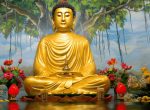 कविता : बुद्ध विश्वास हो सच्चा