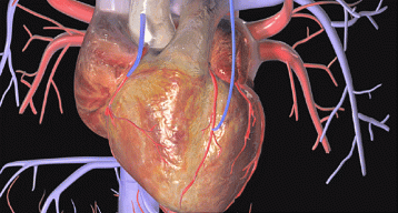 Morning exercise a key to good night’s sleep after heart bypass surgery -Study