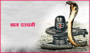 आज नागपञ्चमी पर्व, नाग पूजा गरिँदै
