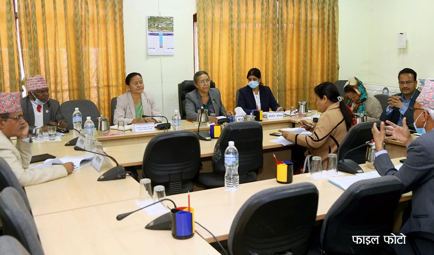 पत्रकारलाई जागिरबाट हटाउने सञ्चारगृहलाई कारबाही गर्न संसदीय समितिले दियो निर्देशन