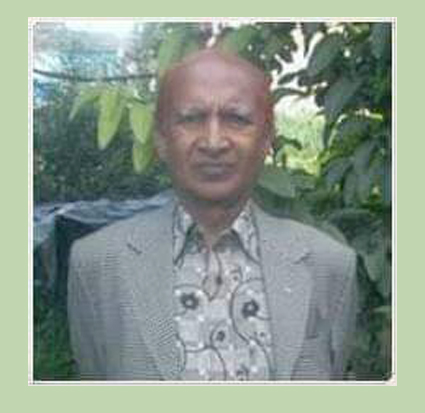 साइनो