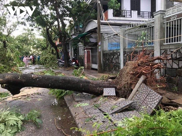 भियतनाममा केहि दिनयतादेखि आएको शक्तिशाली आँधीमा परी ३ मृत्युको, १ सय भन्दा बढी घाइते