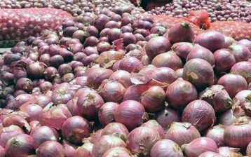प्याज चोरी पैठारी गर्ने तीन जनाविरुद्ध मुद्दा दायर