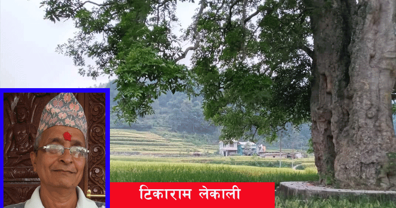 छतिवनको फेदमा पुगेर सम्झदा ……….