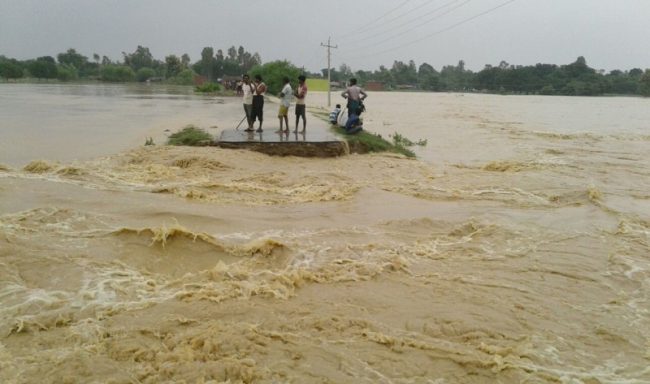बाढीबाट ६ जनाको मृत्यु, ५६ लाखको क्षति