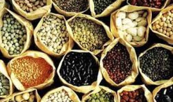 बीउ उत्पादन तथा बिक्री बाट बर्सेनि लाखौको आम्दानी