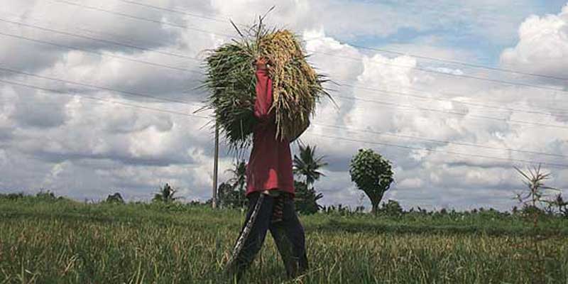 आजको मौसम विवरणः आज यी ४ प्रदेशमा वर्षाको सम्भावना