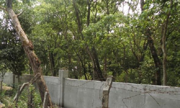 गोकर्ण निकुञ्जको सडकसँगैको पर्खाल जीर्ण, सवारी चालक जोखिममा