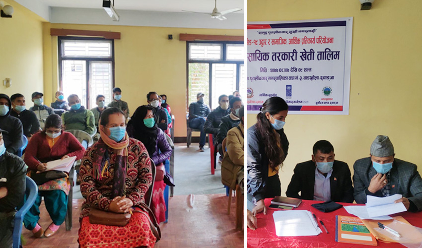 विदेशबाट फर्किएका युवालाई व्यवसायिक तरकारी खेती तालिम