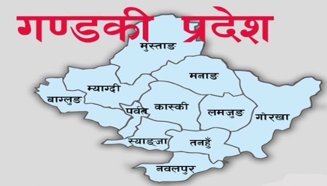 नर्सिङ र एचए पढाउने गण्डकी प्रदेश सरकारको तयारी