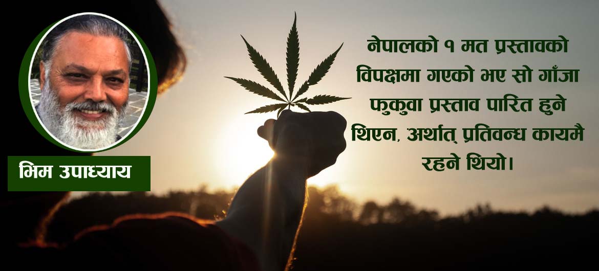 अब गॉजा लागू औषधी होइन
