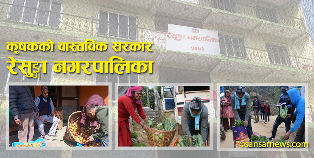 रेसुङ्गा नगरपालिकाको उदाहरणीय कार्य : किसानका उत्पादन घरबाटै बजार पुग्छन्