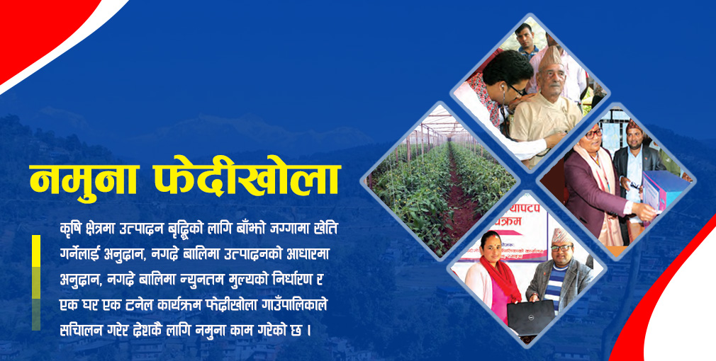 केन्द्रका लागि नमुना बन्दै छन् स्थानीय सरकार