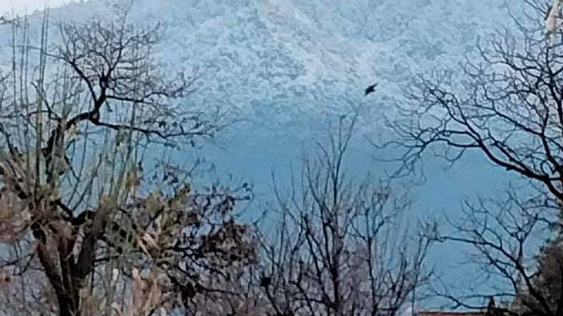 फुलचोकी जंगलमा हराएका २ युवाको सकुशल उद्धार