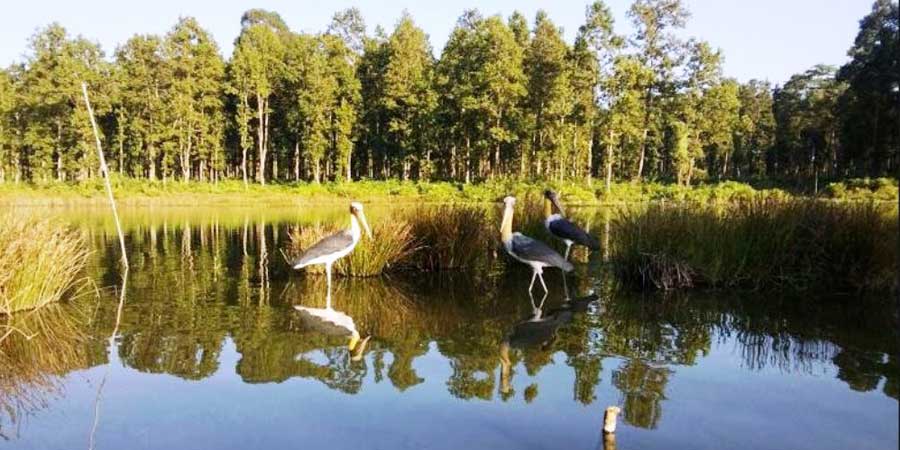 यी हुन् पर्यटकीय गन्तव्यको सूचीमा परेका झापाका १० नयाँ स्थान