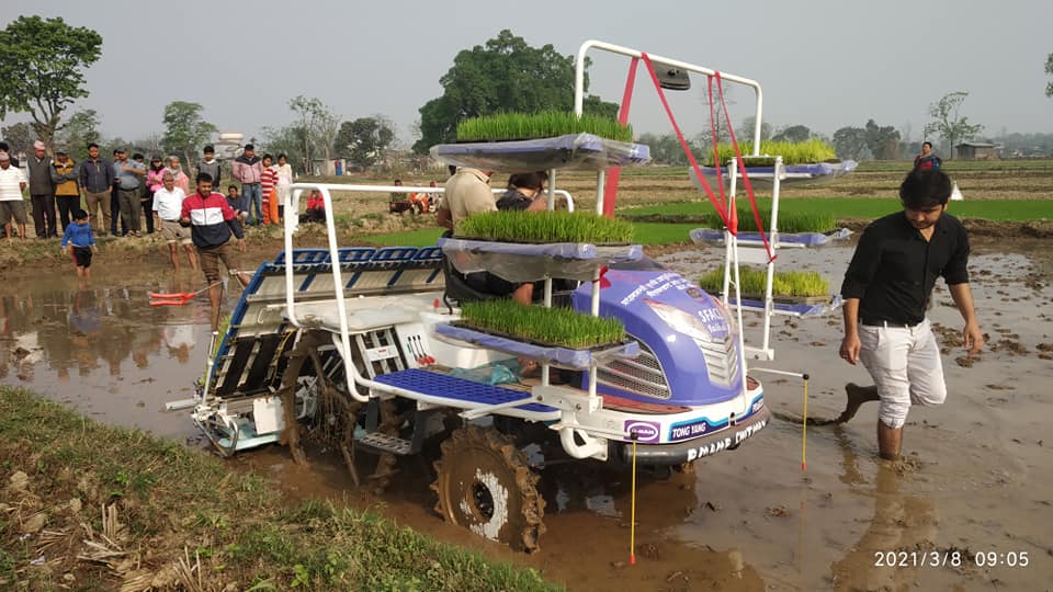 चितवनमा चार चक्के मेशिनबाट धान रोपाइँ