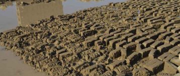 बेमौसमी वर्षाले रुपन्देहीका इँटा उद्योगमा करोडौँको क्षति