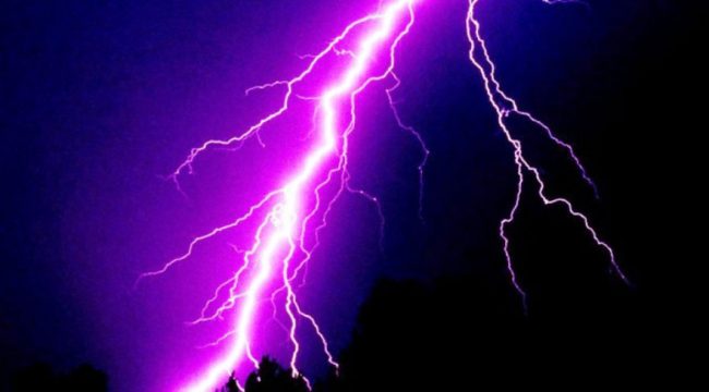 चट्याङ लागेर ३९ भेडाबाख्रा मरे