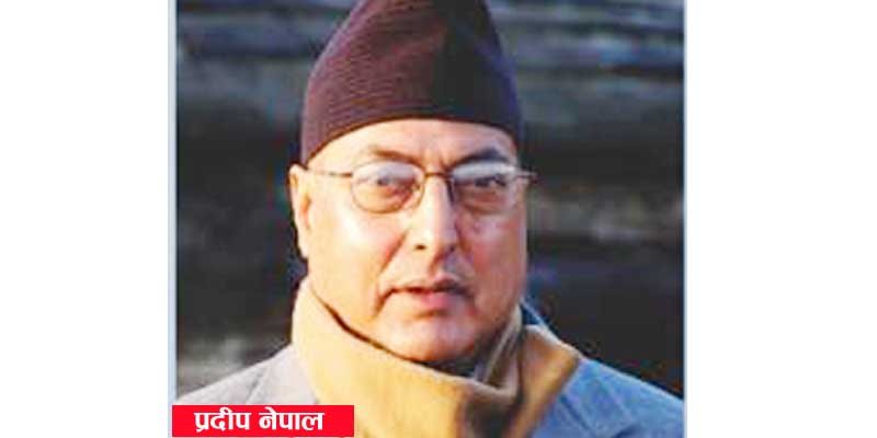 प्रदीप नेपालको लेखले एमालेमा खैलाबैला