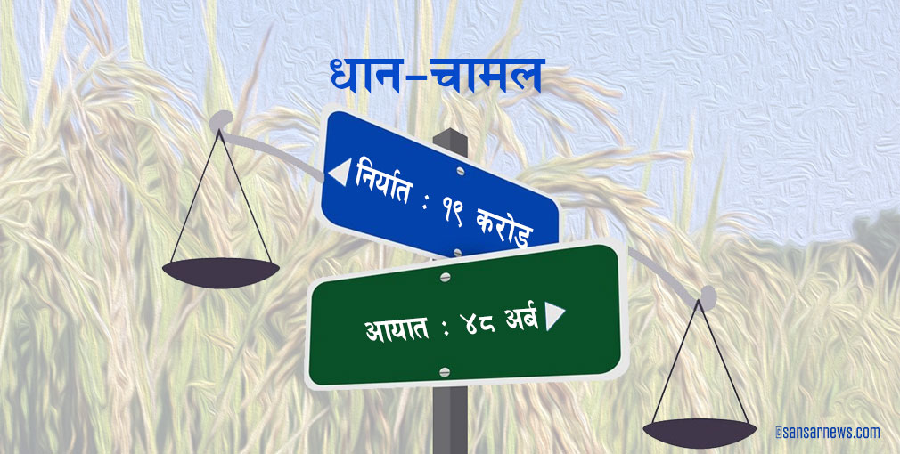 कृषिप्रधान देश धान–चामलमा परनिर्भर, १० महिनामै ४८ अर्बको आयात