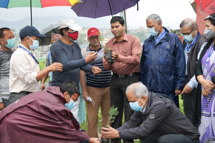 ग्लोबल आइएमई बैंक र विश्वविद्यालय क्याम्पसको सहकार्यमा वृक्षारोपण कार्यक्रम सम्पन्न