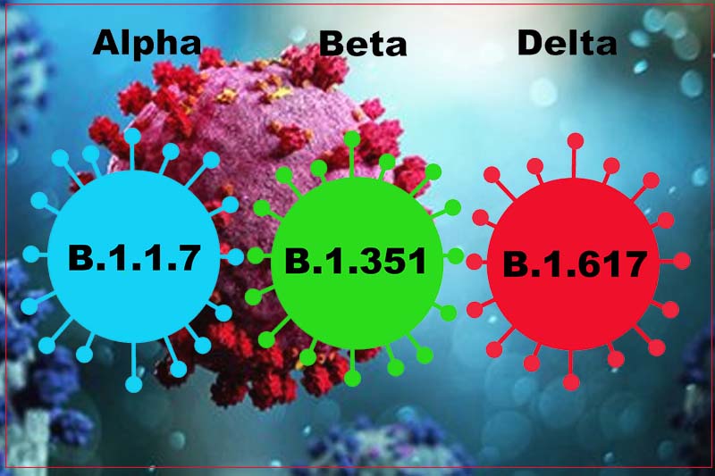 CDC document warns Delta variant appears to spread as easily as chickenpox and cause