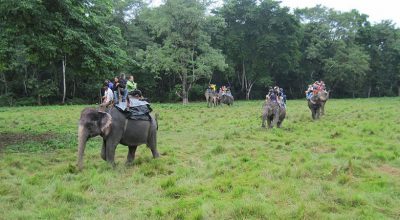 निकुञ्ज घुम्नेमा आन्तरिकभन्दा बाह्य पर्यटक बढी