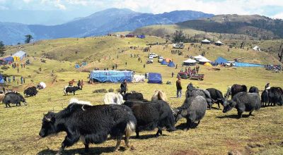 चौंरी खर्क पुगेर लगाइयो बालबालिकालाई खोप