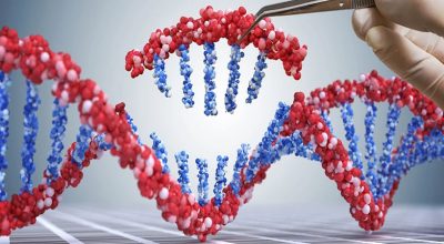 CRISPR जीन सम्पादन : हाम्रो प्राकृतिक संसारलाई परिवर्तन गर्दाका फाइदा र जोखिमहरु