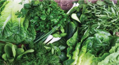आजको सागसब्जी र फलफूलको अधिकतम थोक मूल्य यस्तो छ