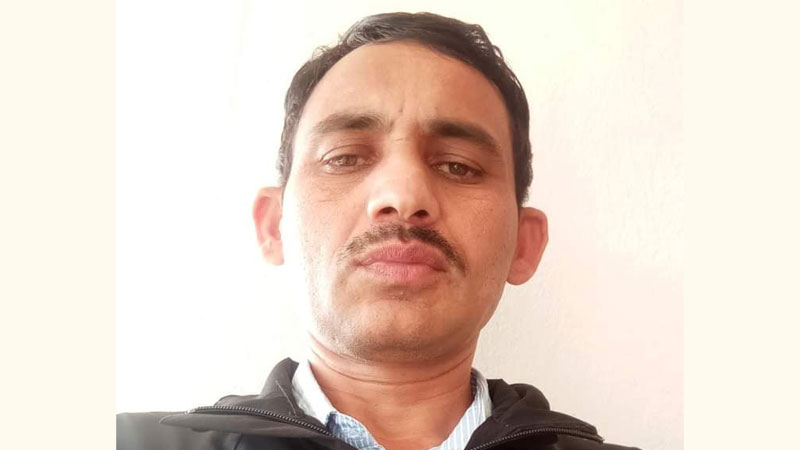 कोपिला/डाली
