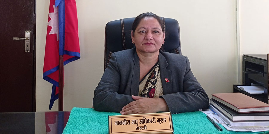 गण्डकी प्रदेश स्वास्थ्य नीति जारीः आधारभूत स्वास्थ्य सेवा निःशुल्क