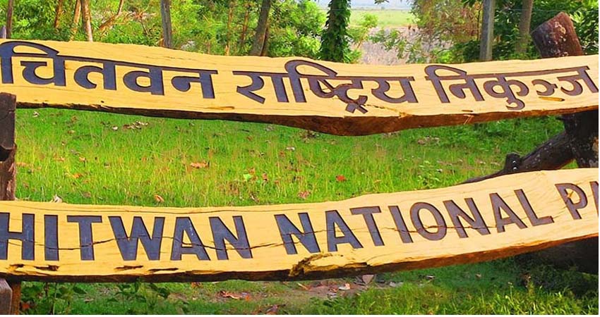 CNP receives over 51,000 visitors in first five months of current fiscal year