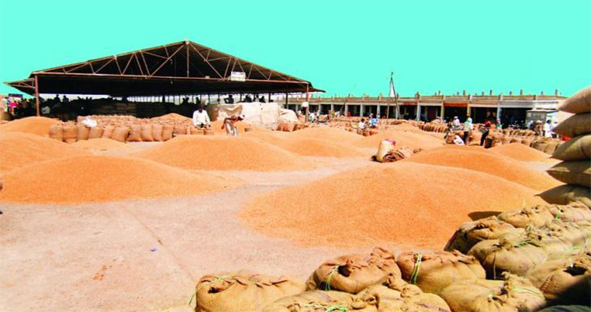 सात बिघा क्षेत्रफलमा कृषिमण्डी निर्माण हुँदै